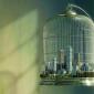 Caged City