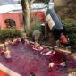 Japanese Spa Industry