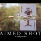 Aimed Shot