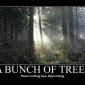 A Bunch of Trees