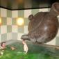 Japanese Spa Industry