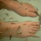 Japanese Spa Industry