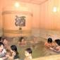 Japanese Spa Industry