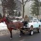 Horse and Carriage