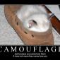 Camouflage