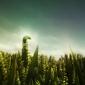 Creature In The Field