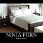 Ninja Porn