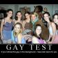 Gay Test