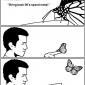 I Met A Butterfly The Other Day