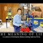 The Meaning Of Life