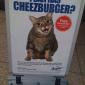 I Can Has Cheeseburger?
