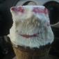 Happy Ice Cream