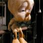 Real Tweety Bird