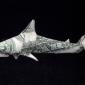 One Dollar Shark