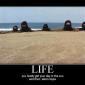 Life