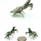 One Dollar Bill Mantis