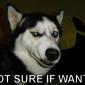 Not Sure If Want
