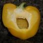Screaming Pepper
