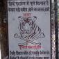 Tiger Rebirth Sign