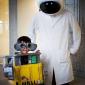 Wall-E Costume