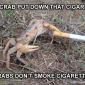 Put Down That Cigarette
