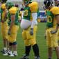 Fat Footballer