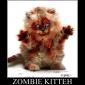 Zombie Kitteh