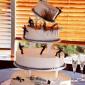 Terroist Cake
