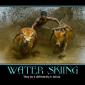 Water Skiing