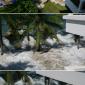 Big Tsunami