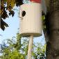 Axe Bird House