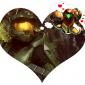 Master Chief In Love