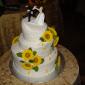 Runaway Groom Cake