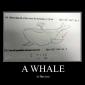 A Whale