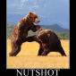 Nutshot