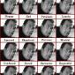 Steven Seagal Emotion Chart