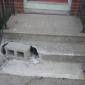 Stairs Fixed