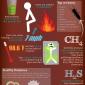 Facts About Farts