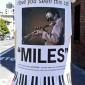 Have You Seen This Cat?
