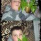 Getting High On House Plants