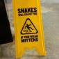 Snakes Will Chase You