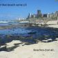 Beaches Love Oil