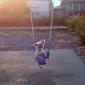 swinger