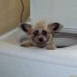 Bath nite