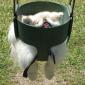 Now Push Me!