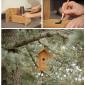 Trolling Birds