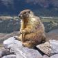 Just Chillin'