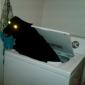 I Feast On The Souls Of Socks