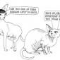 Hairless Cats