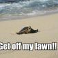 Get Off My Lawn!